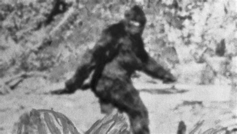 The Fbi Released Bigfoot Files Is The Sasquatch Actually Real