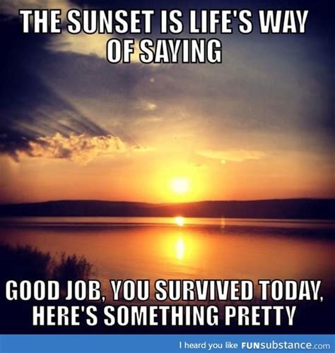 The Meaning Of a Sunset - FunSubstance