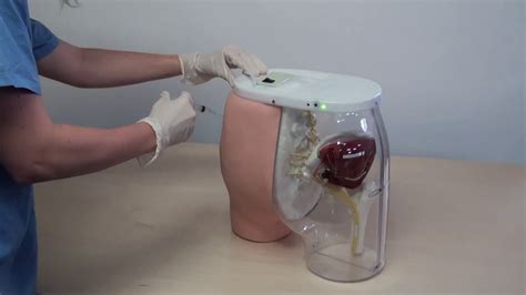 Buttocks Dorsogluteal Intramuscular Injection Simulator Youtube