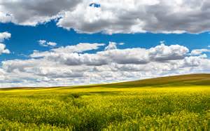 Fields (or properties) in the schema are the attributes of the node. Beautiful field on a clear day wallpapers and images ...