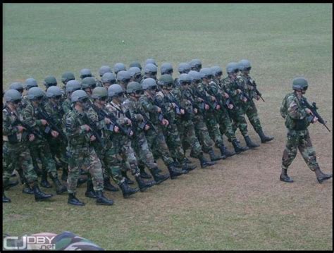 Paraguayan Army Military Wiki Fandom