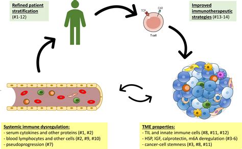 Frontiers Editorial Systemic Immune Dysregulation In Malignant