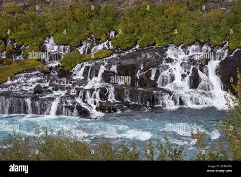Hraunfossar Lavawasserfälle Wasserfälle In Den Fluss Hvítá In Der