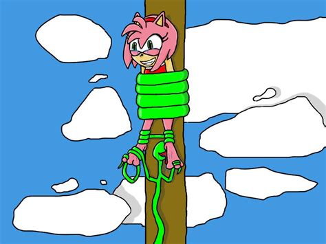 Boarders for living room / 15+ best living room wa. Amy Rose tickled by wtfeather on DeviantArt