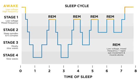 Describe The Different Stages Of Sleep