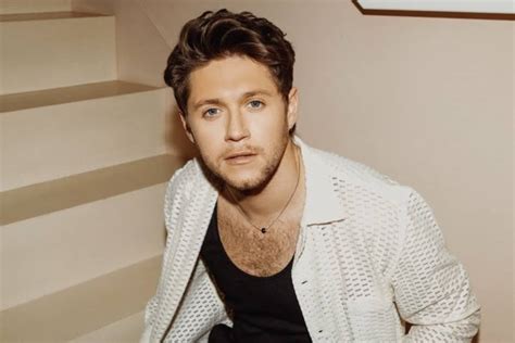 Niall Horan Drops New Song Meltdown Ahead Of Forthcoming New Album