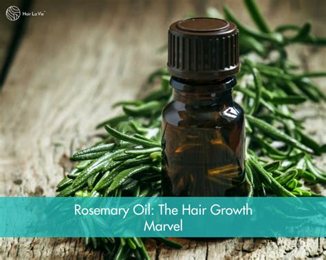 Using rosemary oil for hair can help with: The Amazing Benefits of Rosemary Oil: Hair Growth ...