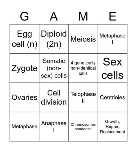 Mitosis And Meiosis Bingo Card