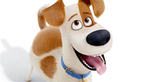 It's home to a variety of classic farm animals as well as a more exotic collection, including zebras, capybaras. JACK Teaser: The Secret Life of Pets - JACK 96.9