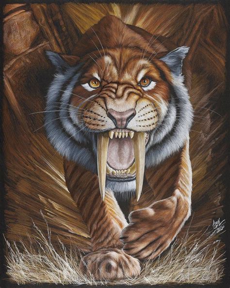 Sabre Tooth Tiger Sabertooth Sabertooth Tiger Big Cats Art