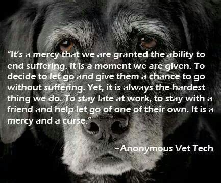 Grieving the loss of a pet after euthanasia: Dealing with euthanasia: a vet tech perspective