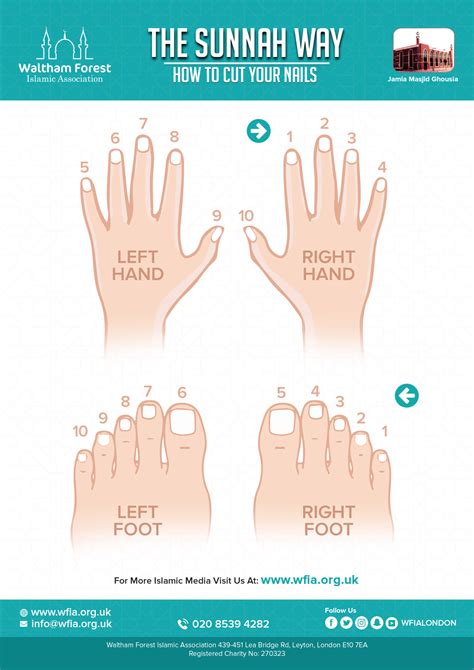 How To Cut Your Nails The Sunnah Way Wfia Lea Bridge Road Mosque