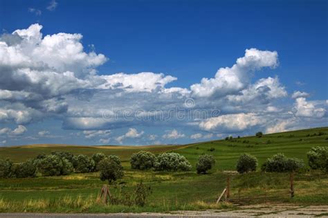 Summer Landscape Valley Meadows With Green Grass Trees And
