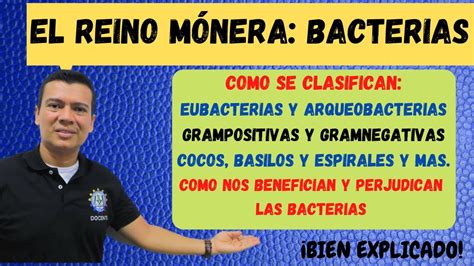 Reino Monera Bacterias Eubacterias Y Arqueobacterias Grampositivas Y