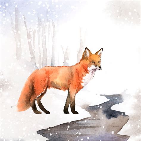 Hand Drawn Fox In The Snow Watercolor Style Download Free Vectors