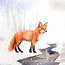 Hand Drawn Fox In The Snow Watercolor Style  Download Free Vectors