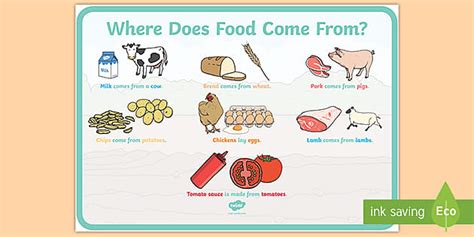 Where Does Food Come From Display Poster Where Does Food Come From A4