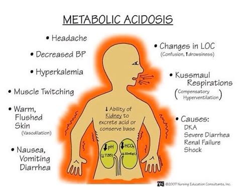 Test 4 Flashcards Nursing Mnemonics Nursing School Survival Metabolic Acidosis