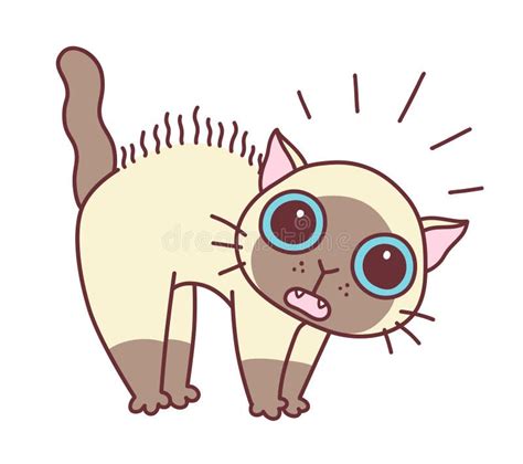Cute Scared Cat Vector Illustration Stock Vector Illustration Of
