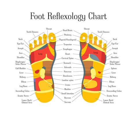What Is Reflexology And How Does It Work Del Mar Times