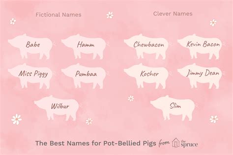 46 Names For Pet Pot Bellied Pigs