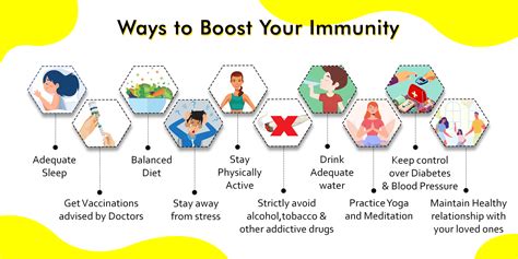 Boost Immunity Your Guide To Strengthening Natural Defenses