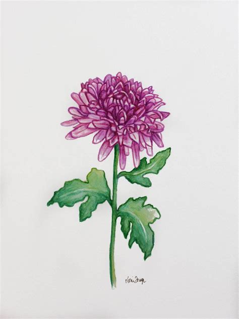 Chrysanthemum November Birthday Flower Original Watercolor Painting
