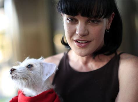Ncis Actress Pauley Perrette Beaten Outside Home Then Ignored By