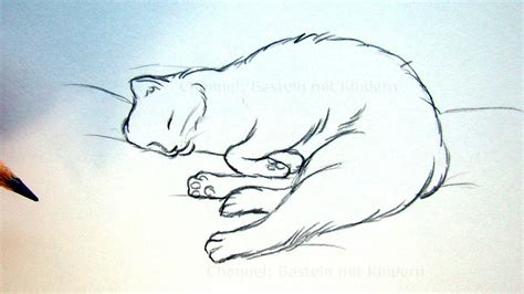 Katze Zeichnen Lernen Tiere Zeichnen Und Malen Schlafende Katze Diy