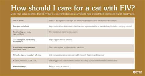 Life expectancy, survival and prognosis. FIV-Positive Cats Can Live Long, Content Lives | Taste of ...