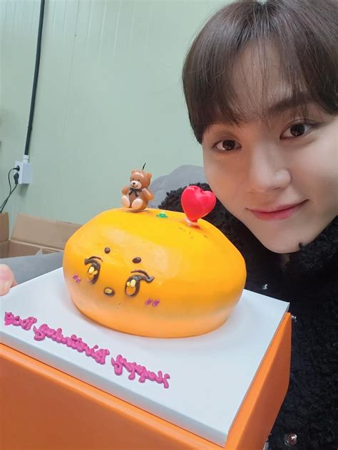 Creative Birthday Cake Ideas Of Seventeens Members Kpophit Kpop Hit