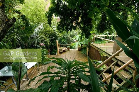 The Jungle Garden By Jerry Harpur Gap Gardens