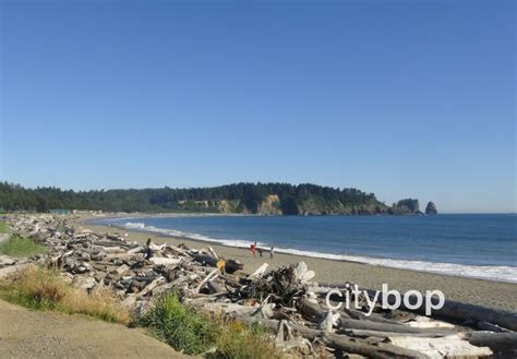 5 Best Things To Do At First Beach La Push Wa