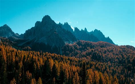 Download Wallpaper 3840x2400 Mountain Trees Autumn Shadows Aerial