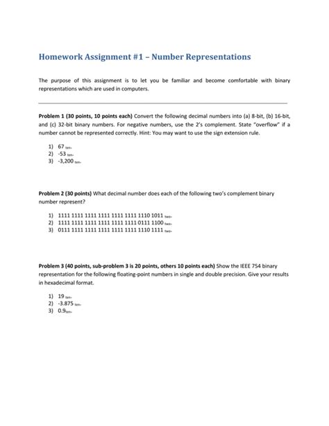 Homework Assignment 1 Number Representations