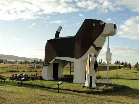 Then, retreat to stylish 5 star hotel rooms with stunning views and plush bedding. Pin on Pet Ideas