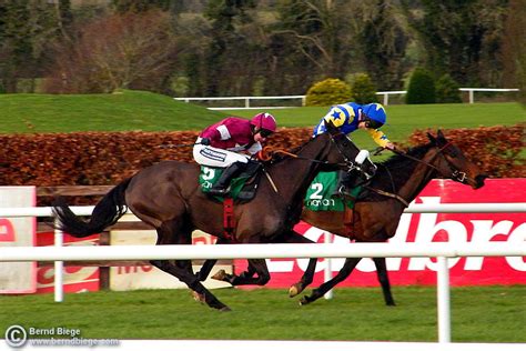 Get your private car insurance quote below sorting out your car insurance is simple! A Guide to Horse Racing in Ireland