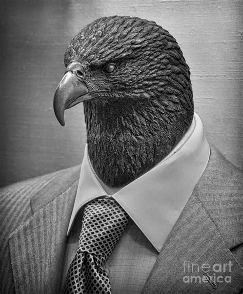 Eagle Wearing A Suit Photograph By Brian Mollenkopf Pixels