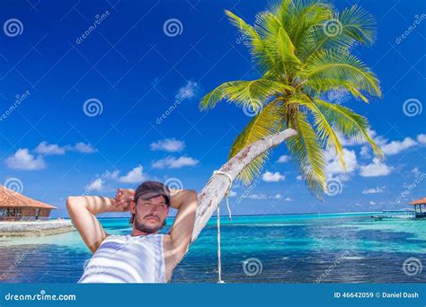Gorgeous Man Resting On Beach Palm Tree Stock Image Image Of Dream