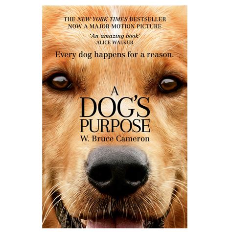 A Dogs Purpose By W Bruce Cameron Book Kmart