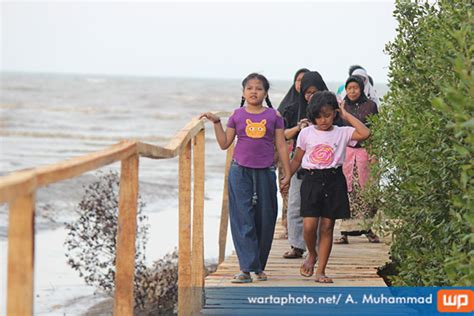 Calon Ngehits Pantai Mina Mangrove Tunggulsari Tayu Bakal Dibuka Tahun