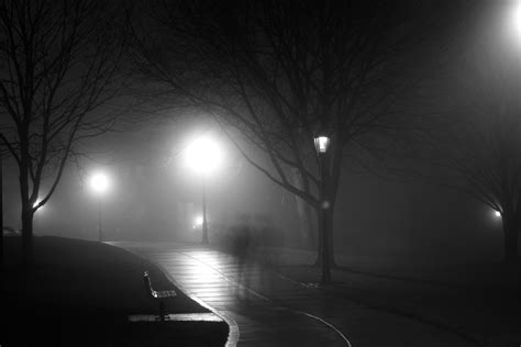 Free Images Snow Black And White Fog Mist Trail Night Sunlight