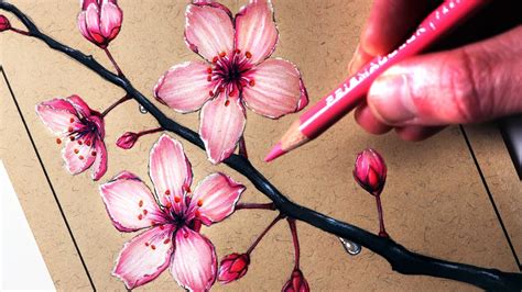 Blossom Tree Flower Drawing Zipback