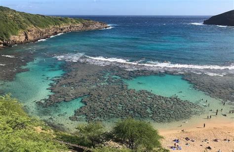 The Best North Shore And Hanauma Bay Tour The Hawaii Admirer