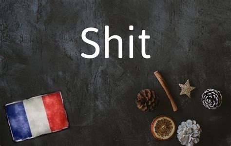 French Word Of The Day Shit The Local