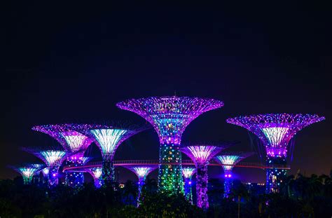Wallpaper Id 284095 Large Tree Like Structures Lighted Up In Purple