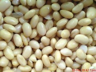 Protein yang sihat memberi manfaat dari segi tenaga dan juga stamina. Tahukah Anda Keburukan Kacang Soya? ~ Info Kesihatan