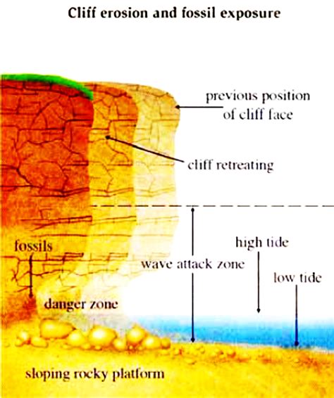 Diagram Description 7 Cliff Erosion