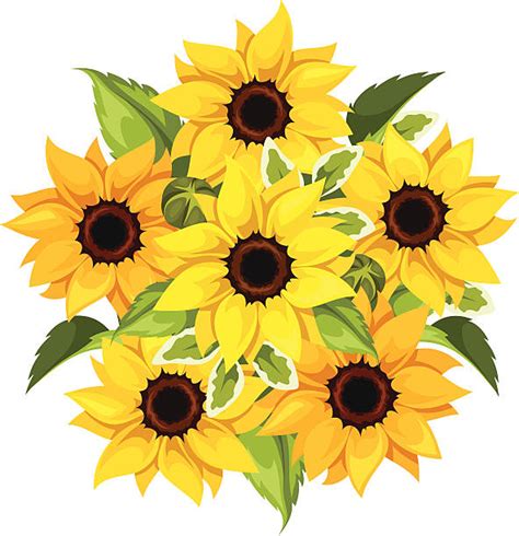 Sunflower Leaves Illustrations, Royalty-Free Vector Graphics & Clip Art