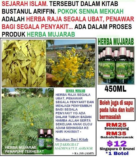 Buasir yang sihat bertindak sebagai kusyen yang penting dikawal. Ubat Buasir Tahap 1 - Contoh PP